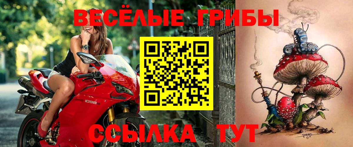 Псилоцибиновые грибы мицелий Азнакаево