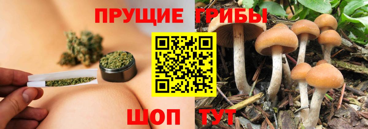 Псилоцибиновые грибы GOLDEN TEACHER  Галлюциногенные грибы мухоморы  Вход с VPN  Азнакаево 